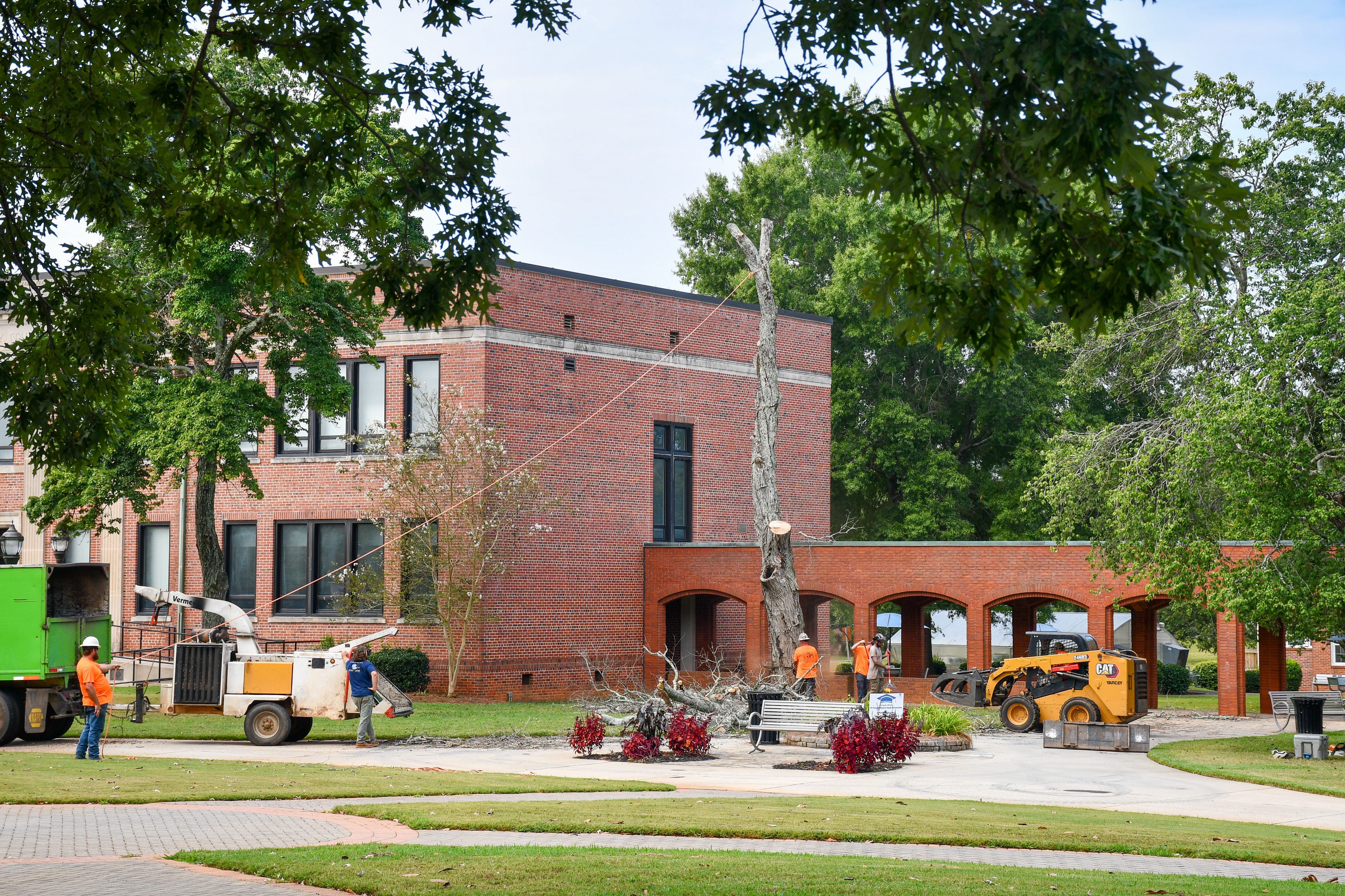 Crews remove a deteriorating oak tree in front of Lambdin Hall as part of GSC's campus safety and landscape maintenance efforts.